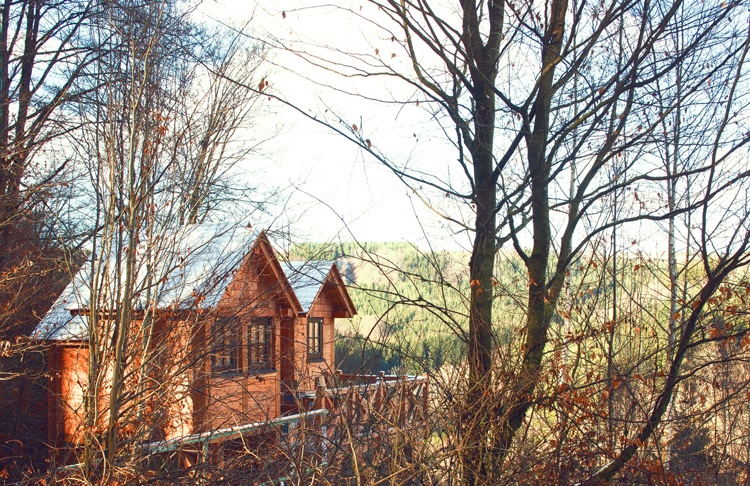 Tiny House dans les bois