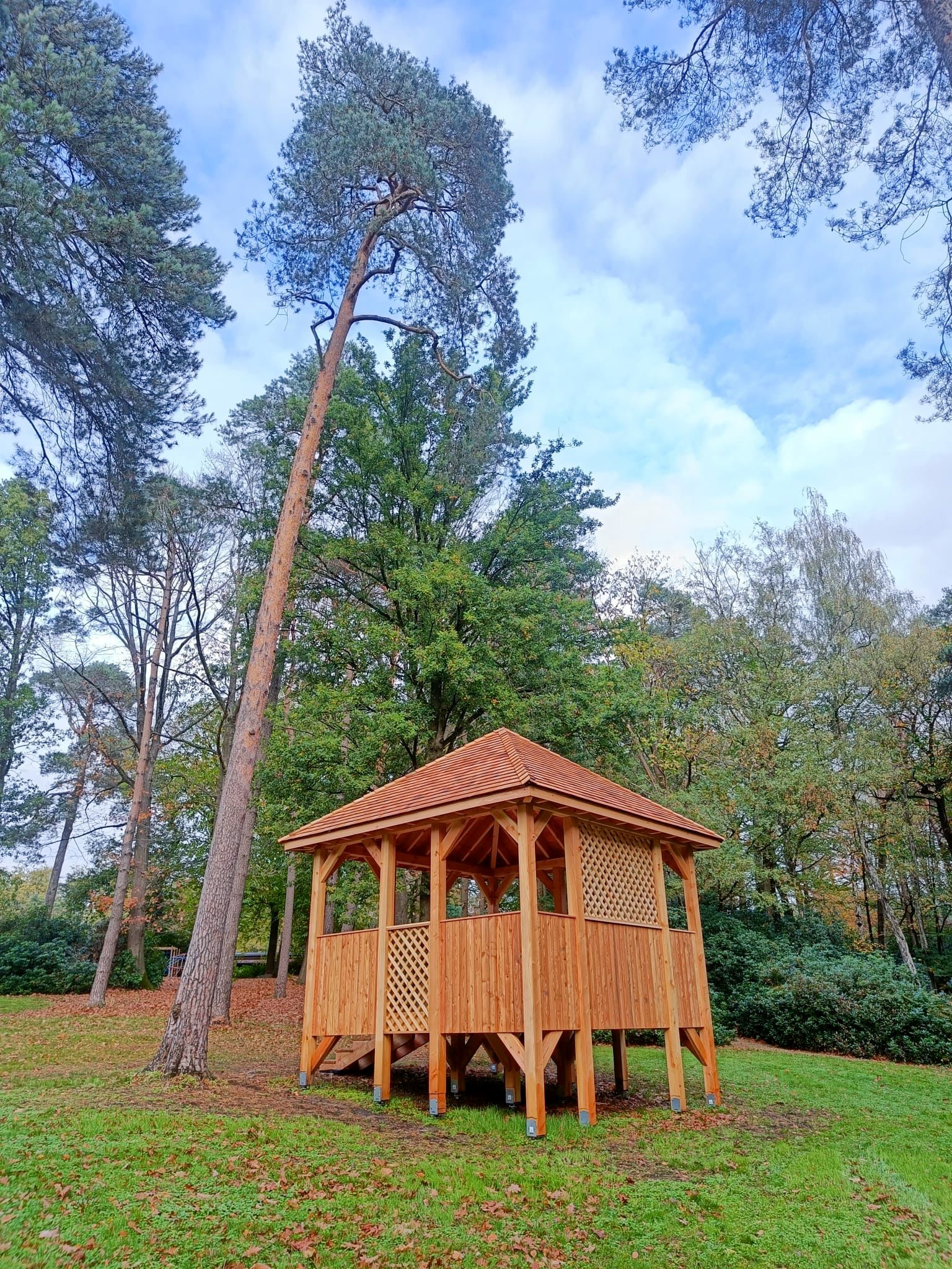 Pavillon jardin en bois sur mesure arbre