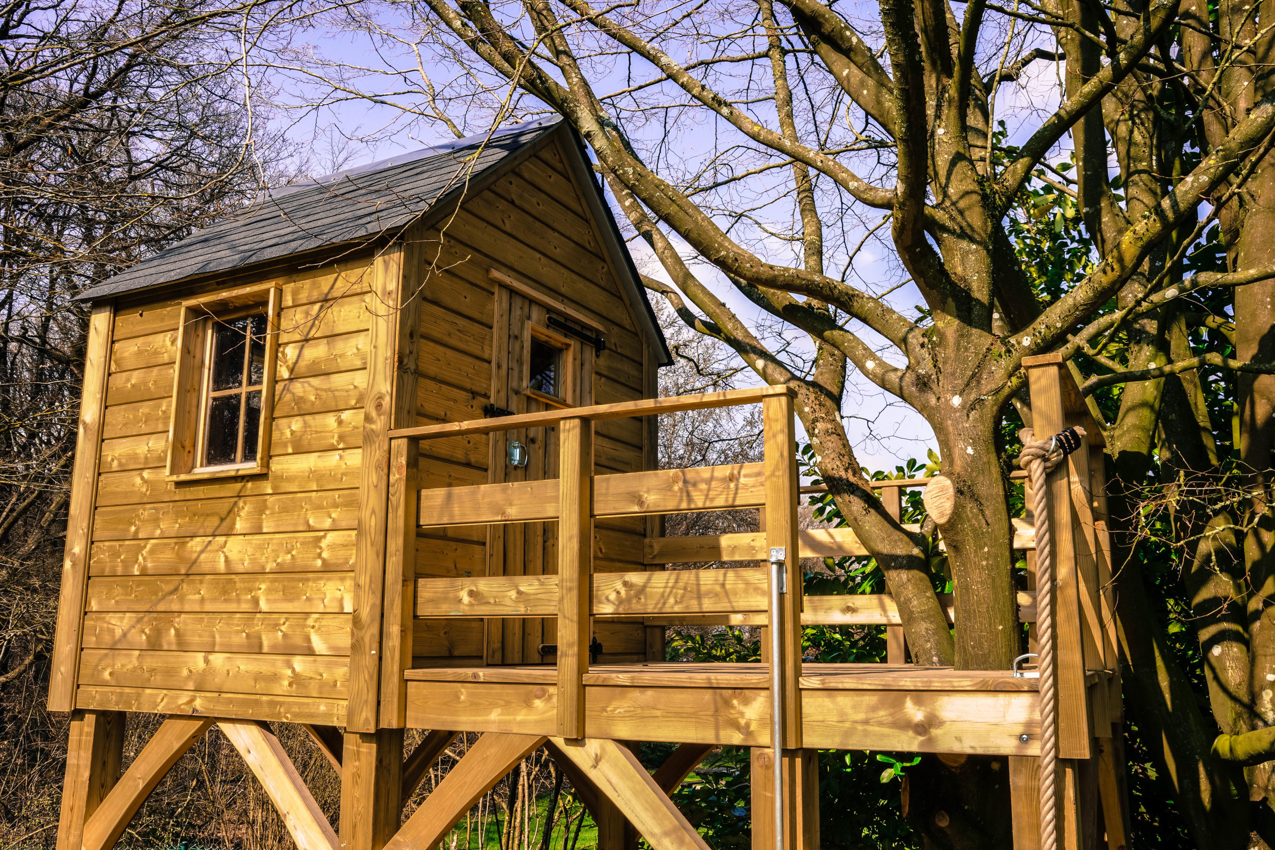 Cabane sur mesure dans un arbre